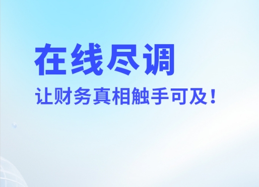 【推荐】财务尽职调查工具，一键解锁财务真相-心流