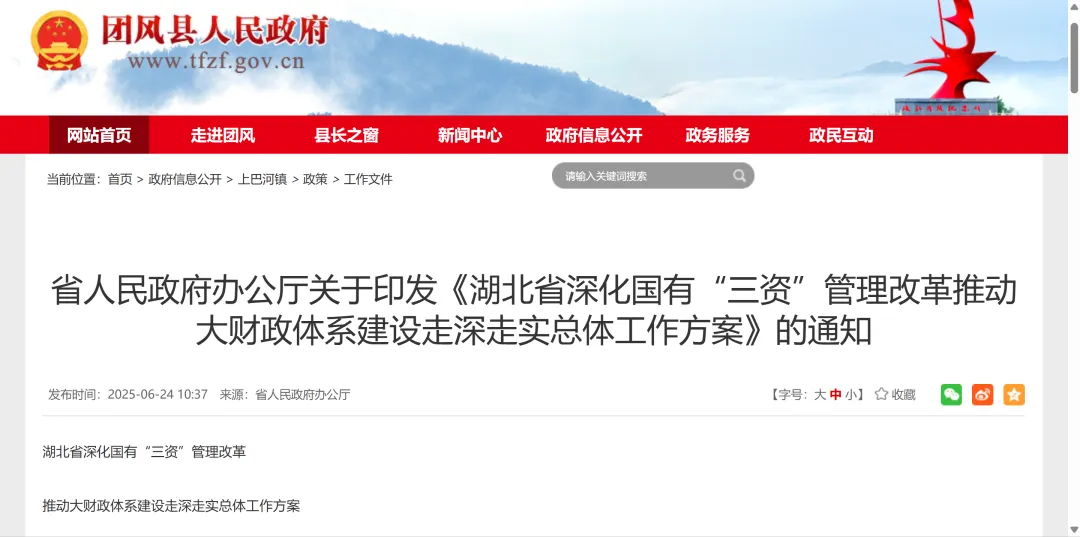 政策分享 | 省人民政府办公厅关于印发《湖北省深化国有“三资”管理改革推动大财政体系建设走深走实总体工作方案》的通知-心流