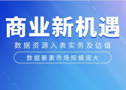 数据要素市场规模庞大，此时不捉机更待何时？-心流