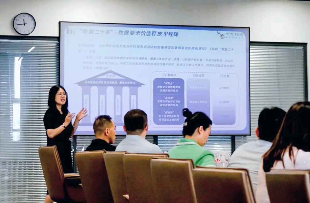 政企联动！心流集团助力坪山数据资产入表破局-心流