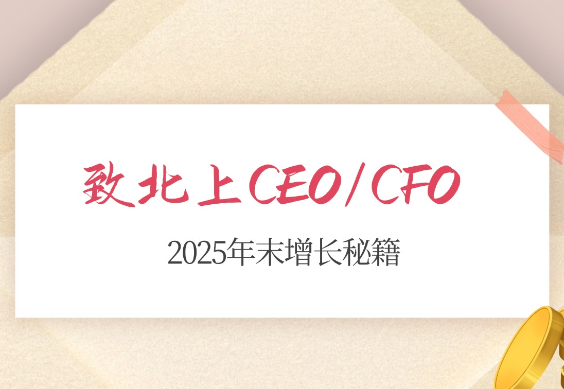致北上广CEO/CFO：除了降本增效，2025年还能从哪里要增长？-心流